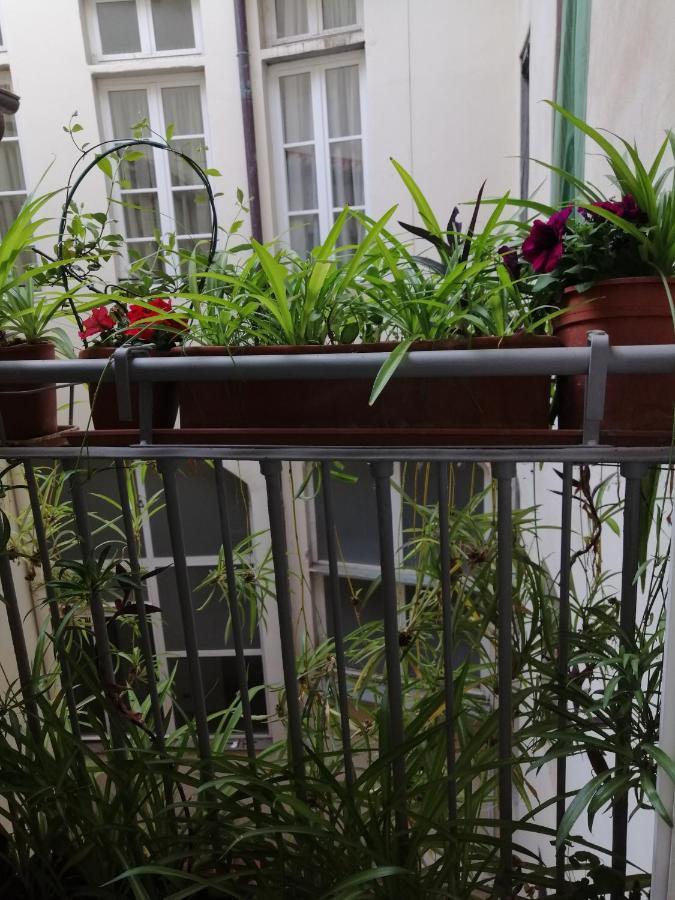 Florence Pitti Loft Bagian luar foto